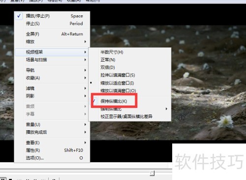 ��ô���ñ���Ӱ�Ե���Ƶ���Ϊ�����ݺ�ȣ�