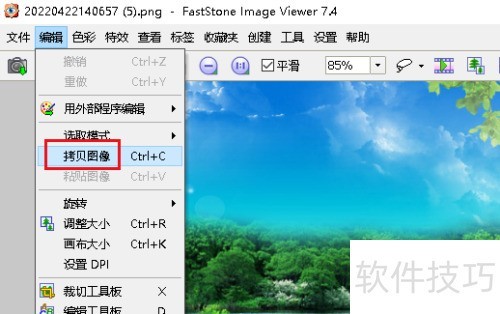 FastStone Image Viewer拷贝和粘贴图像 FastStone Image Viewer拷贝和粘贴图像