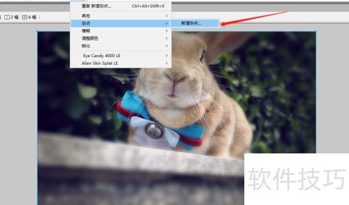 Macromedia Fireworks如何使用杂点? Macromedia Fireworks如何使用杂点?
