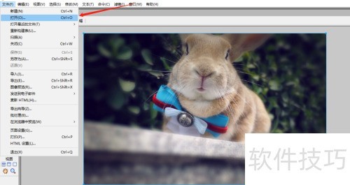 Macromedia Fireworks如何使用杂点? Macromedia Fireworks如何使用杂点?