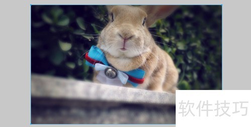 Macromedia Fireworks如何使用杂点? Macromedia Fireworks如何使用杂点?