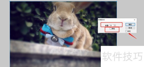 Macromedia Fireworks如何使用杂点? Macromedia Fireworks如何使用杂点?