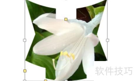 ppt��βü�������״ͼƬ-pptͼƬ��ô�ü����Լ���Ҫ����״