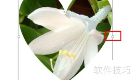 ppt��βü�������״ͼƬ-pptͼƬ��ô�ü����Լ���Ҫ����״