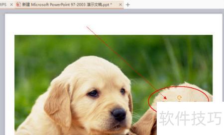 ��ζ�ppt��������(�����ppt���������)