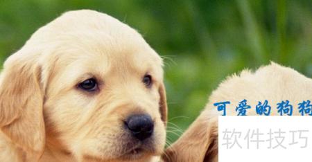 ��ζ�ppt��������(�����ppt���������)