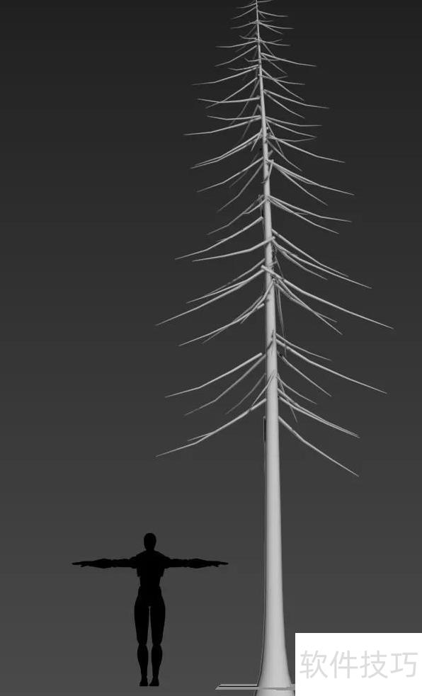 ��ľ����������������(Word��ô������)