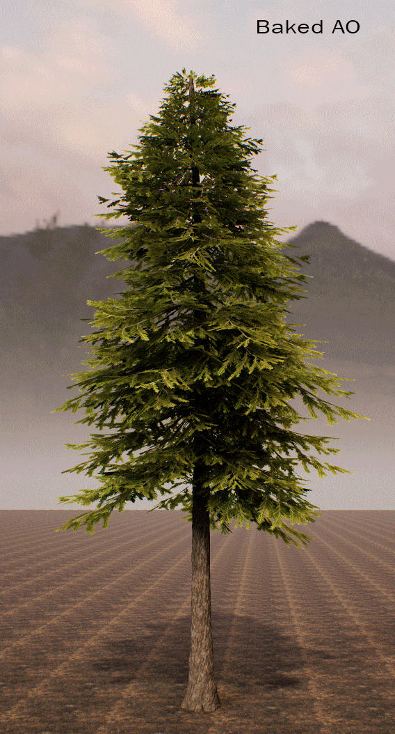 ��ľ����������������(Word��ô������)