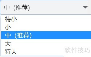 电脑小智双核浏览器怎么更改字号 电脑小智双核浏览器怎么更改字号