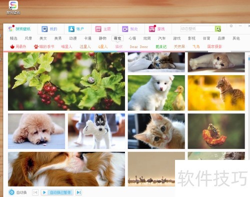 如何将搜狗壁纸的图片保存到桌面 如何将搜狗壁纸的图片保存到桌面