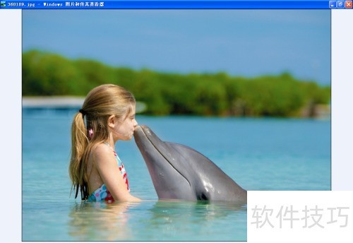 如何将搜狗壁纸的图片保存到桌面 如何将搜狗壁纸的图片保存到桌面