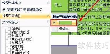 excel��ôɸѡ������(excel��ô����ɫɸѡ��)