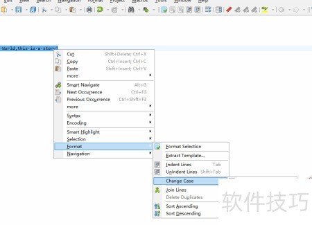 ��ô��HippoEDIT��Ӣ���ַ�����Сд�໥��ת