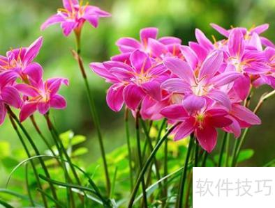 ����д������ص�-���ץס�ص���д����ppt18