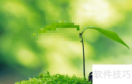 ������ppt�д�������(pptͼƬ����ô��������)